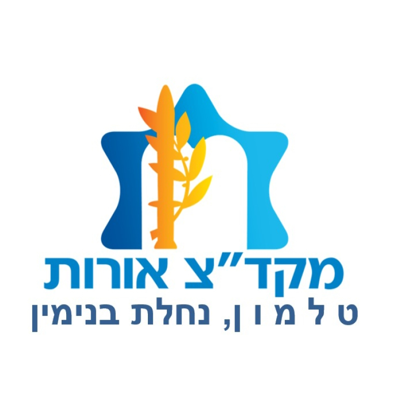 מכינת אורות