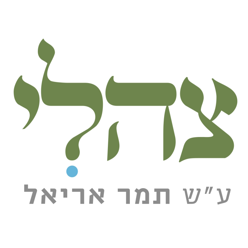 מכינת צהלי