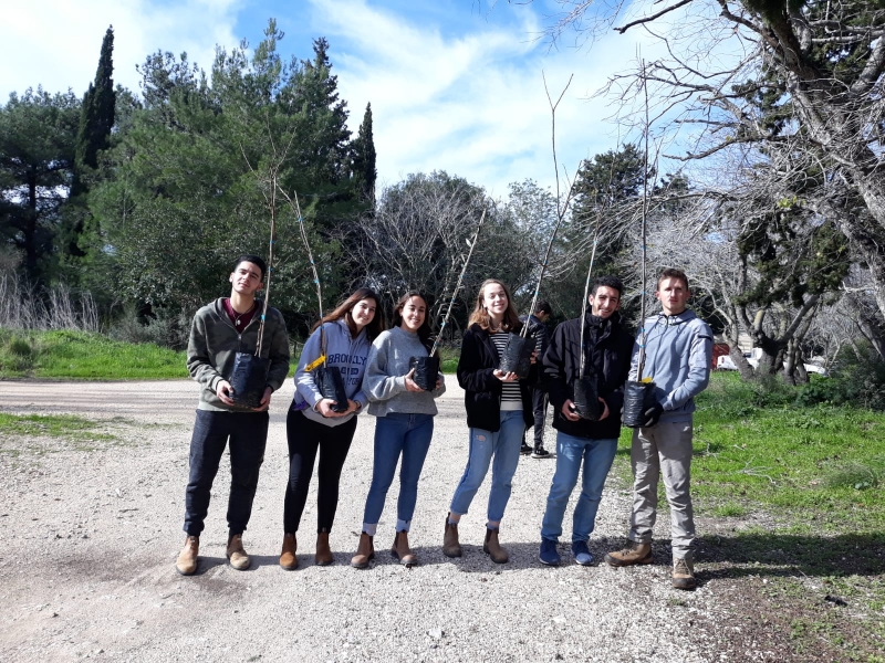 קק"ל ומועצת המכינות - עדכון מיוחד לכבוד ט"ו בשבט